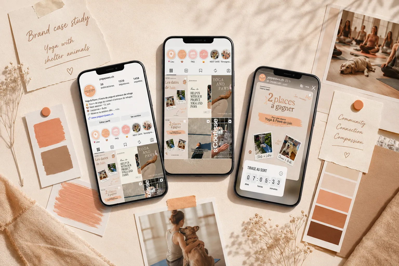 Mockups Instagram de la marque Yoga & Paws — déclinaisons concrètes sur smartphone, ton et identité visuelle en application.